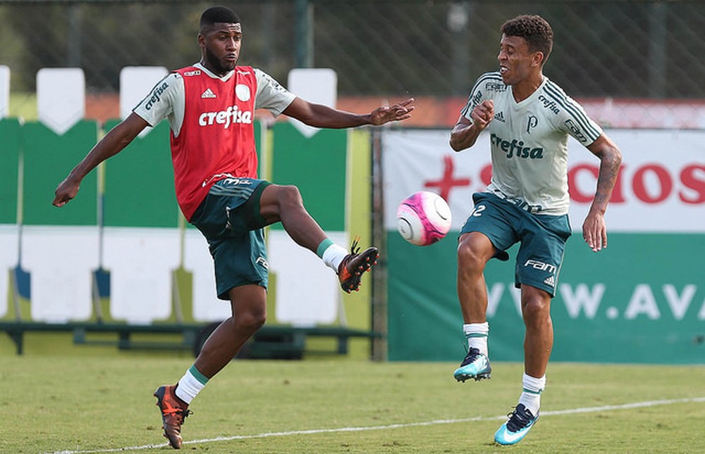 Ex-zagueiro do Botafogo deixa Palmeiras e chega a Porto Alegre para fechar com Inter