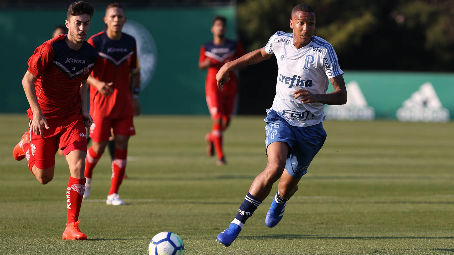 Com Dudu em campo e 2 gols de Deyverson, Palmeiras goleia em jogo-treino