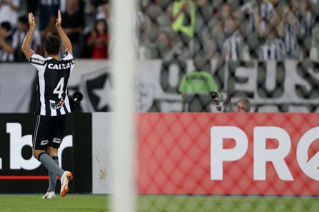 Botafogo voltou a vencer no Brasileirão - Reprodução/Botafogo