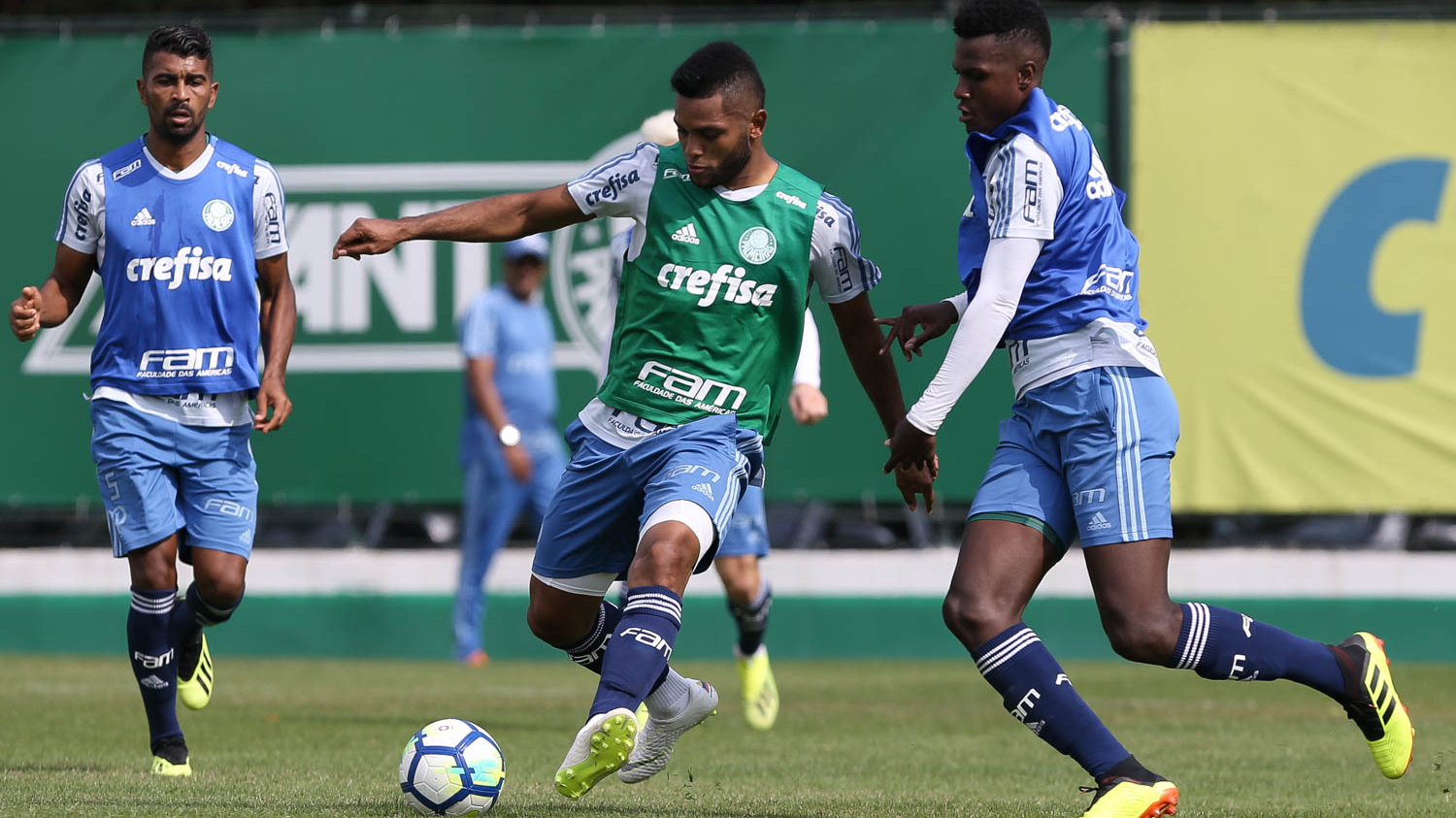 Recuperado de dores no joelho direito, Borja volta aos treinos no Palmeiras