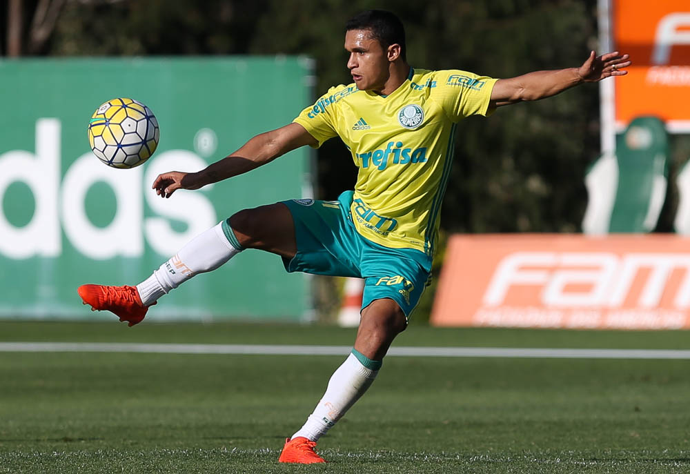 Ex-Palmeiras e Atlético-MG, atacante Erik acerta com o Botafogo