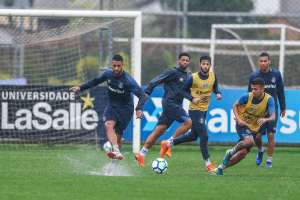 Com título brasileiro na mira, Grêmio encara o Botafogo em casa