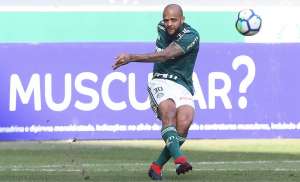 Felipão diz que precisa fazer acertos nos bastidores do Palmeiras