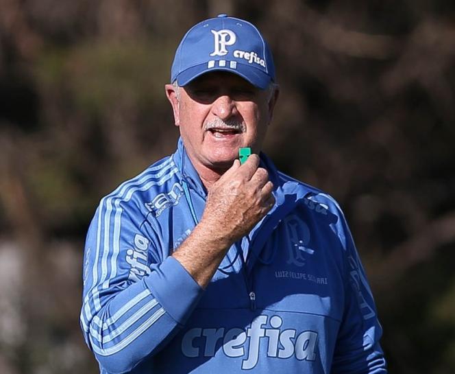 Treinador quer que clube contrate em posições especificas (foto: Divulgação/ Palmeiras)