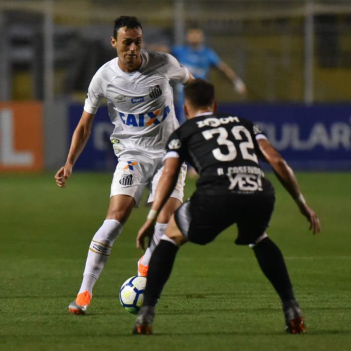 Em crise política, Santos tenta encerrar jejum para não se preocupar com degola