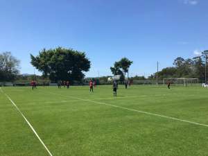 Série B: Focado em subir na tabela, Micale prepara Figueirense com uma mudança