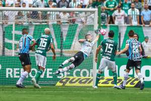 Palmeiras vai com força total para tentar abrir vantagem sobre Inter e Flamengo