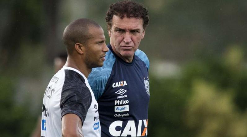 O treinador disse que não quer pressionar os jogadores para o duelo contra o Fluminense (Foto: Ivan Storti/Santos FC)