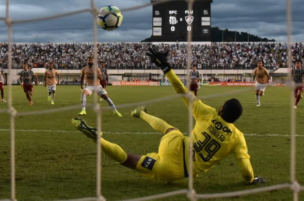 O Fluminense foi derrotado pelo Santos por 3 a 0, neste sábado (Foto: Divulgação/Santos FC)
