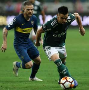 Atacante volta aos treinamentos e pode reforçar o Palmeiras contra o Atlético-MG
