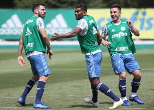 Thiago Santos nega clima de festa do Palmeiras diante do Paraná