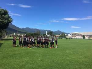 Série B: Micale indica retorno de goleiro Denis e desfalque de Ferrareis no Figueirense