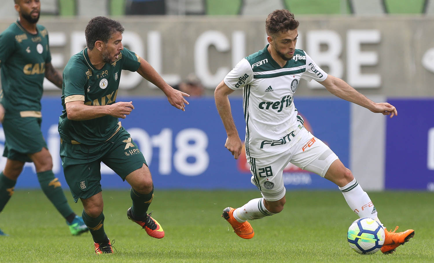 Hyoran conta com histórico para confirmar título brasileiro pelo Palmeiras