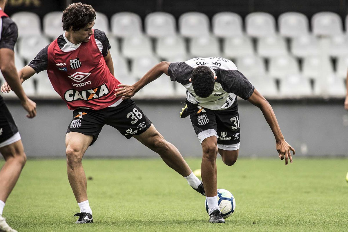 Santos x Botafogo – Fogão embala ou Peixe reage?