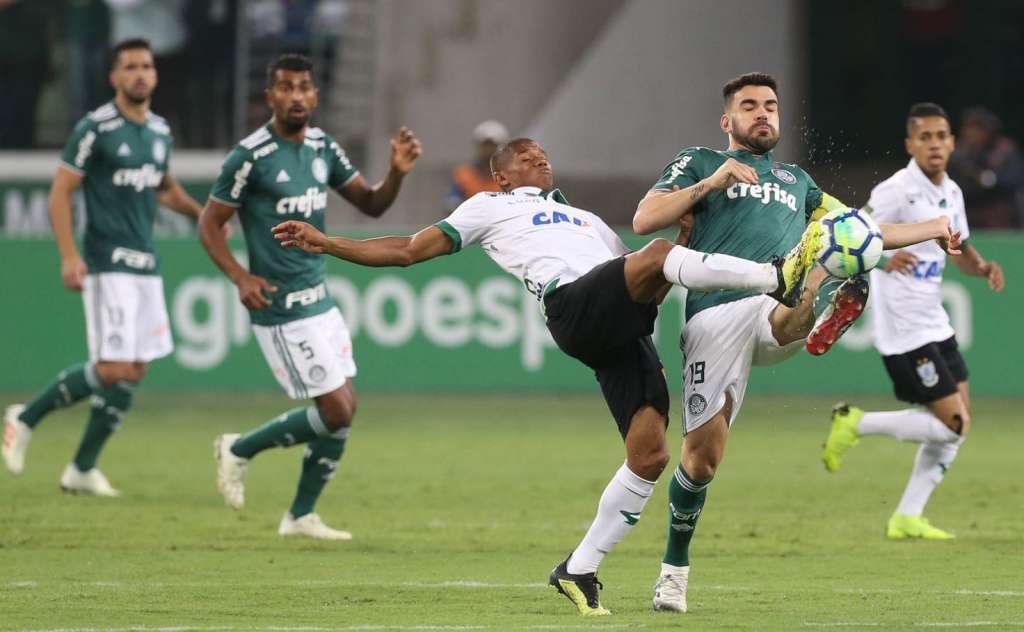 O Palmeiras está a um empate de conquistar o título brasileiro depois da vitória sobre o América-MG (Foto: César Greco/Agência Palmeiras)