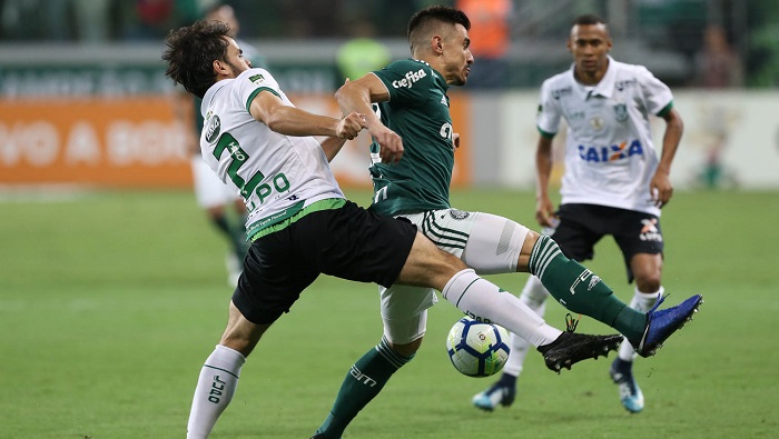 Jogadores do Palmeiras minimizam chance perdida: ‘Dependemos só de nós’