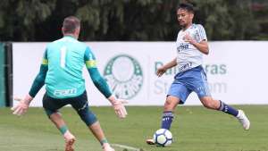 Palmeiras não está acostumado a ser campeão fora de casa