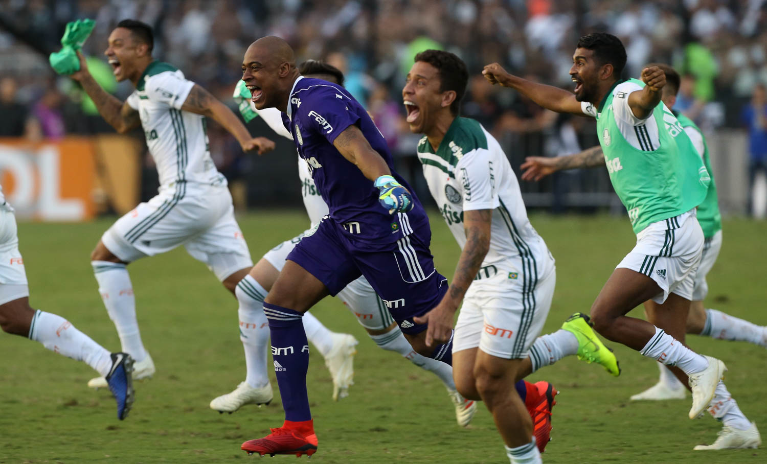 Campeão, Palmeiras vai atrás de mais recordes no Brasileirão