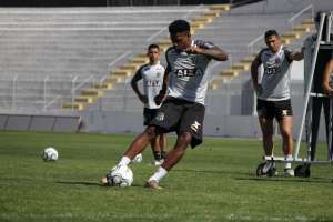 Aguardando Gilson Kleina, Ponte Preta planeja reformulação no elenco