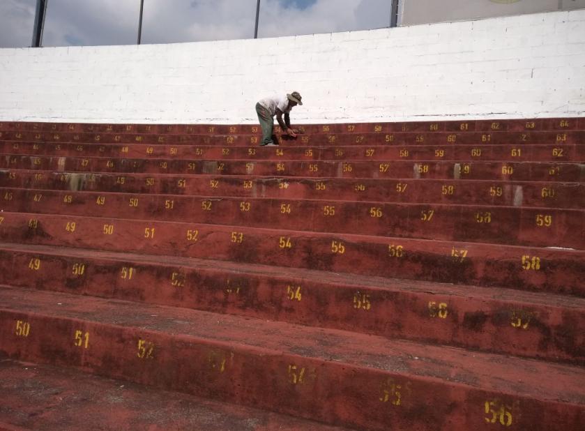 (Foto: Maria Luiza Dourado)