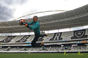 Apresentado pelo Botafogo, Cavalieri elogia Gatito e lamenta ano difícil