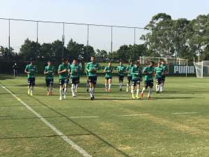 Palmeiras entra com recurso no STJD para poder escalar Moisés no Paulistão