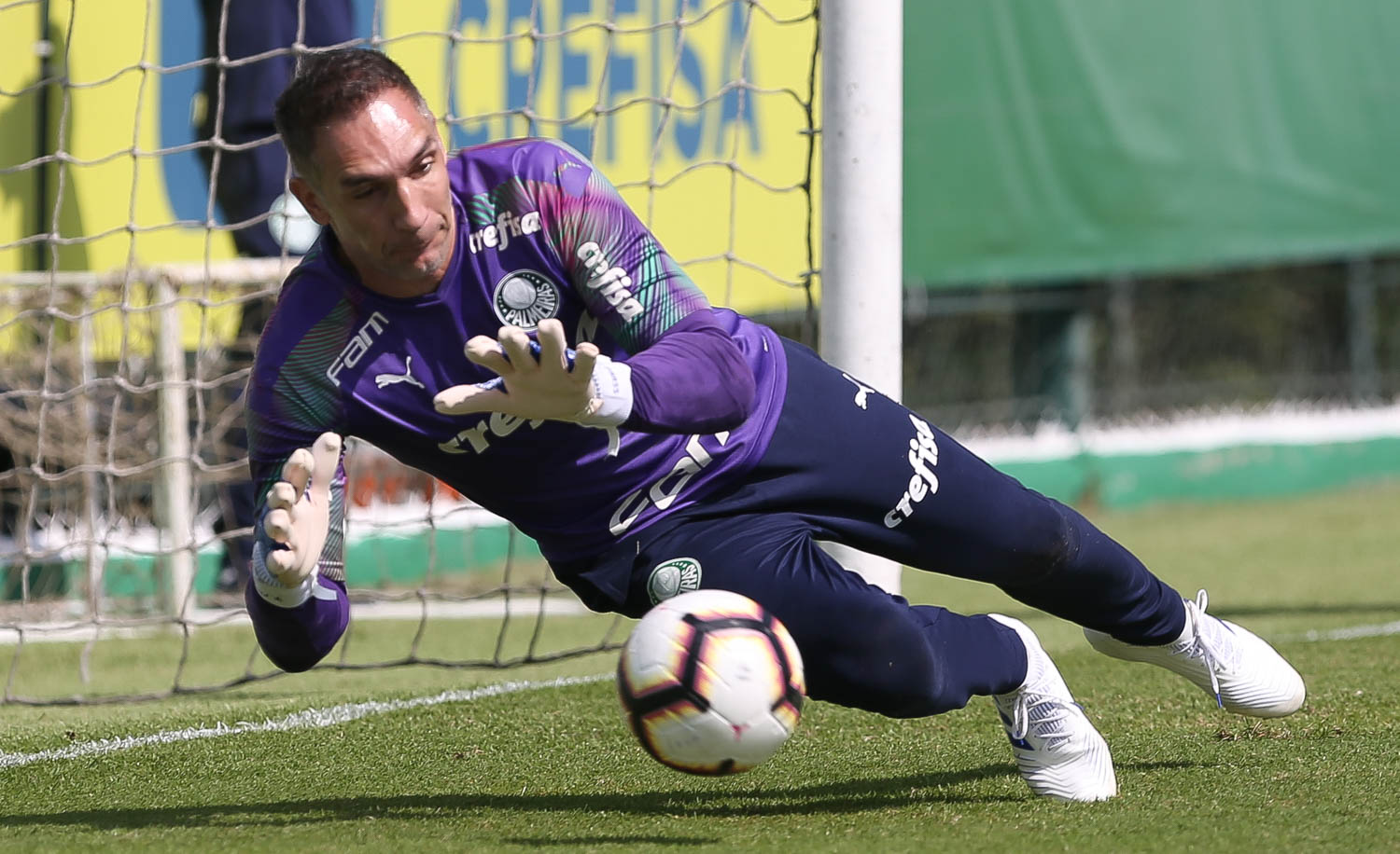 Palmeiras volta aos treinos para recuperar paz nos 13 jogos antes da Copa América