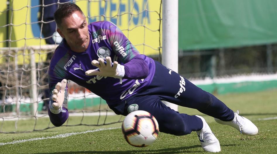 Fernando Prass vem sendo um dos pilares do time - Cesar Greco/Ag Palmeiras/Divulgação