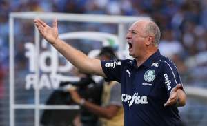Felipão se irrita com gol de empate contra Palmeiras e faz elogios ao CSA
