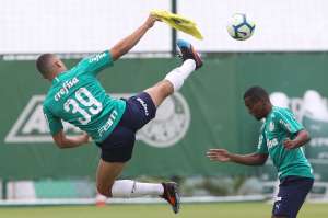 Palmeiras chega a Belo Horizonte com 24 jogadores para pegar o Atlético-MG