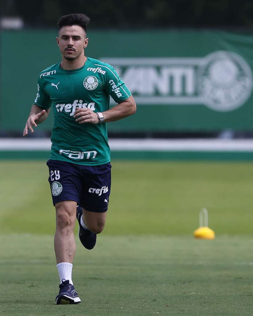 A expectativa é a de que o camisa 29 esteja novamente à disposição de Felipão após a pausa para a Copa América. (Foto: Cesar Greco/Ag. Palmeiras)