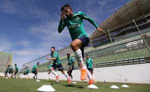 Com titulares de volta, Palmeiras encara Botafogo para manter liderança