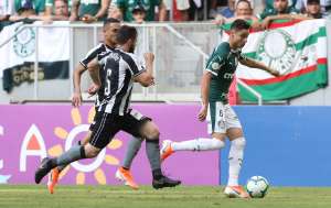 Botafogo oficializa pedido ao STJD de anulação do jogo com o Palmeiras