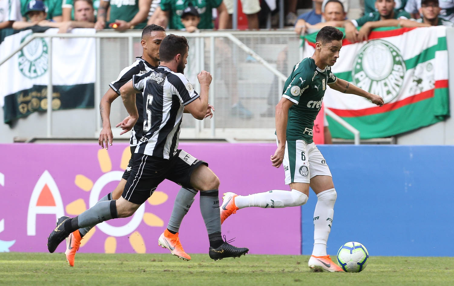 Botafogo oficializa pedido ao STJD de anulação do jogo com o Palmeiras