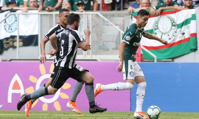 Botafogo tenta anular o jogo contra Palmeiras