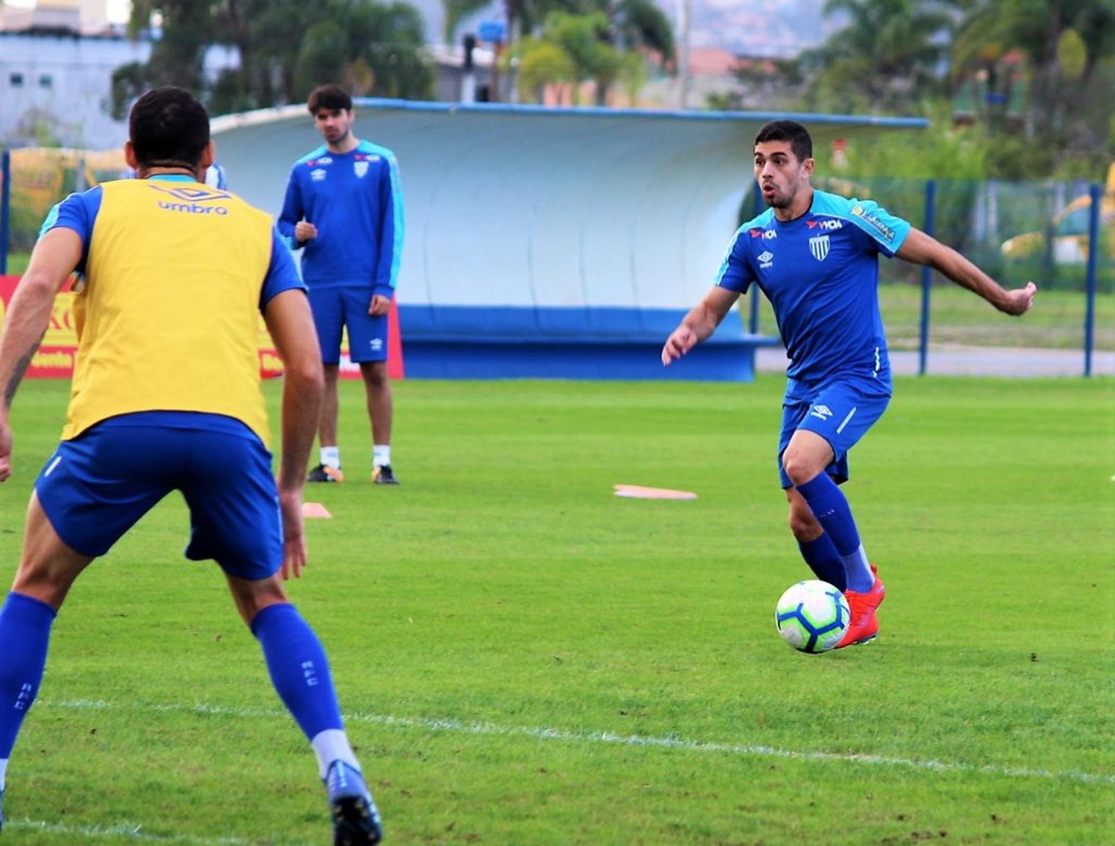 Em crise, Avaí quer dar a ‘volta por cima’ contra o São Paulo