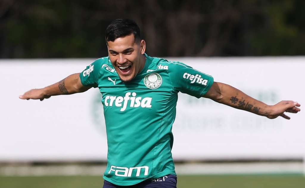 Foto: César Greco / Ag Palmeiras