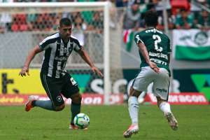 Relator de Botafogo x Palmeiras solicita relatório do VAR e julgamento é adiado