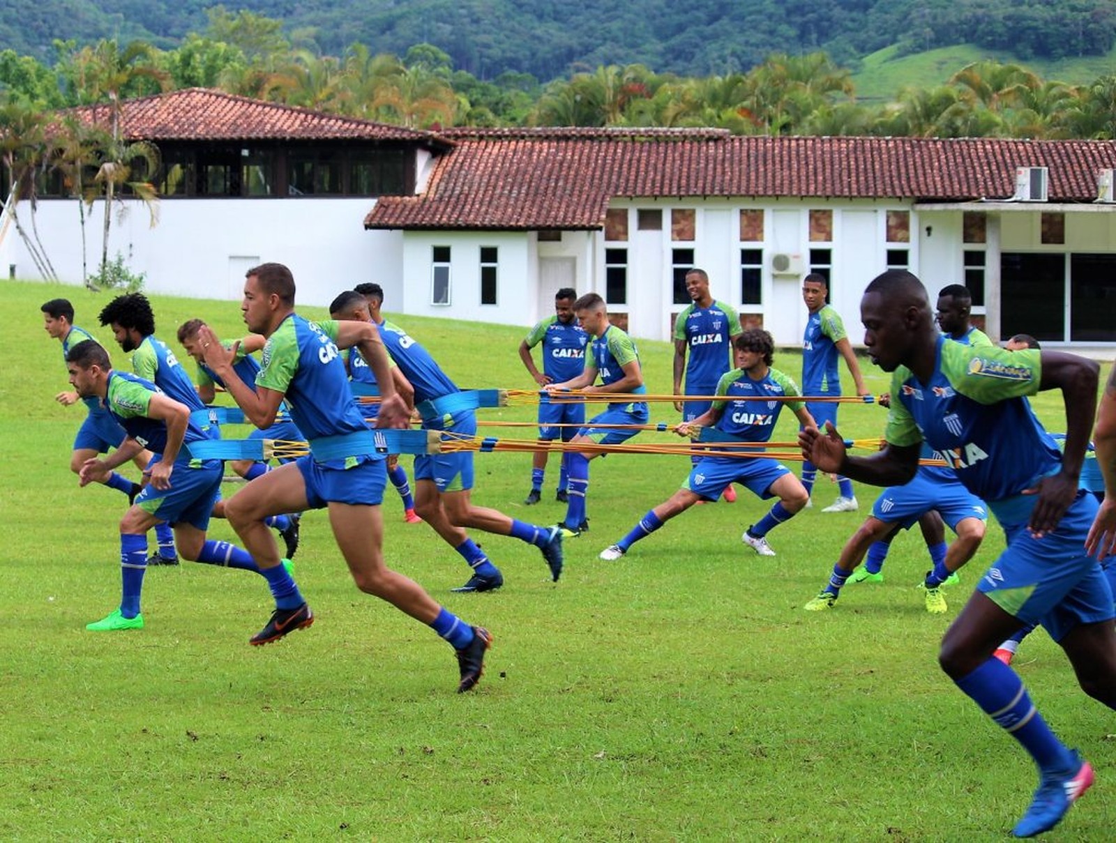 Avaí define planejamento da intertemporada durante pausa do Brasileiro