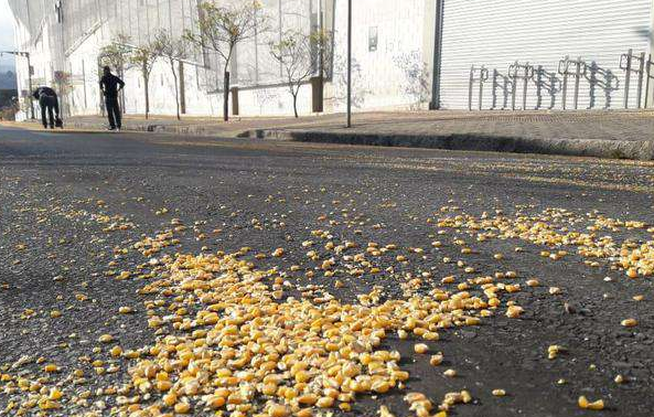 Milho foi jogado na rua. (Foto: Reprodução)