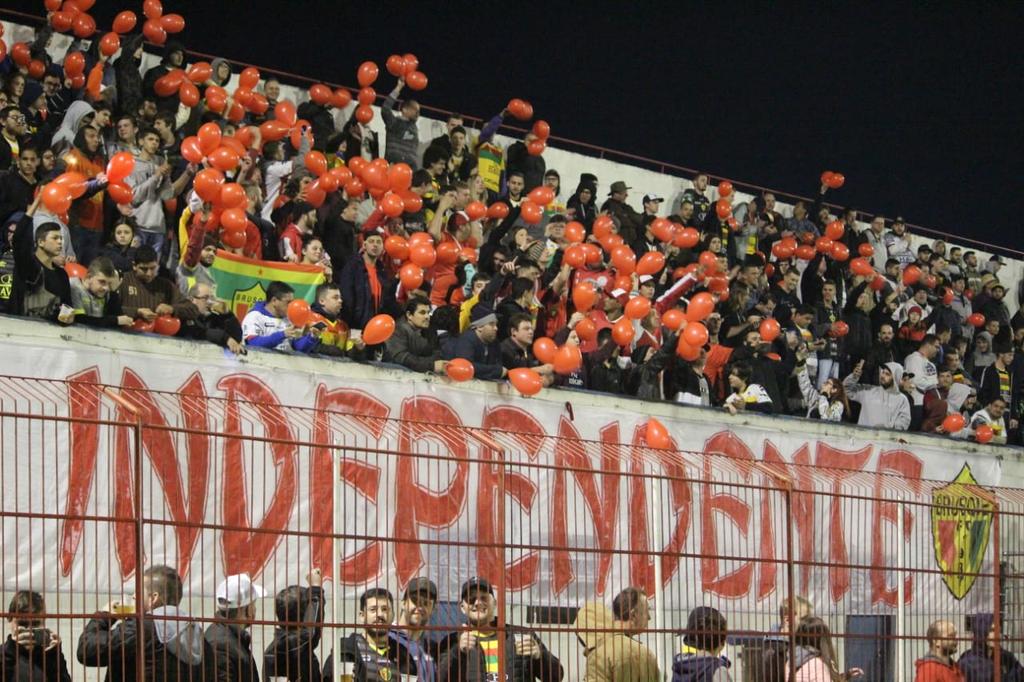 A torcida do Brusque-SC comemorou o acesso à Série C (Foto: Divulgação/Brusque FC) - Divulgação/Brusque FC