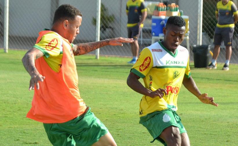 SÉRIE D: Mirassol defende posto no G4 e São Caetano só cumpre tabela