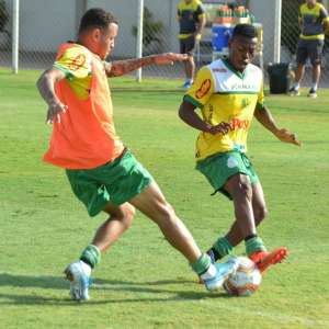 Toledo-PR x Mirassol-SP - Leão quer ficar ainda mais perto da classificação!