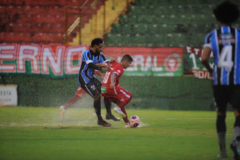 Cachorrão e Galo Vermelho buscam primeiro título no futebol profissional (Foto: Rodrigo Corsi/Paulistão)