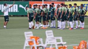 Santos e Palmeiras se enfrentam por vaga no G4 e 'embalo' para Libertadores