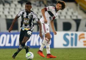 Medalhão diz que Botafogo não vai cair, mas precisa jogar coletivamente