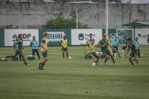 Coritiba busca reabilitação em confronto direto contra o Sport