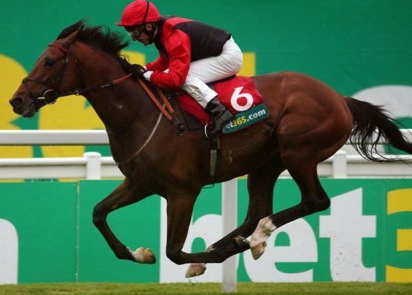 Como apostar em cavalos – Guia Completo para Você Apreder tudo Sobre Apostas na Modalidade