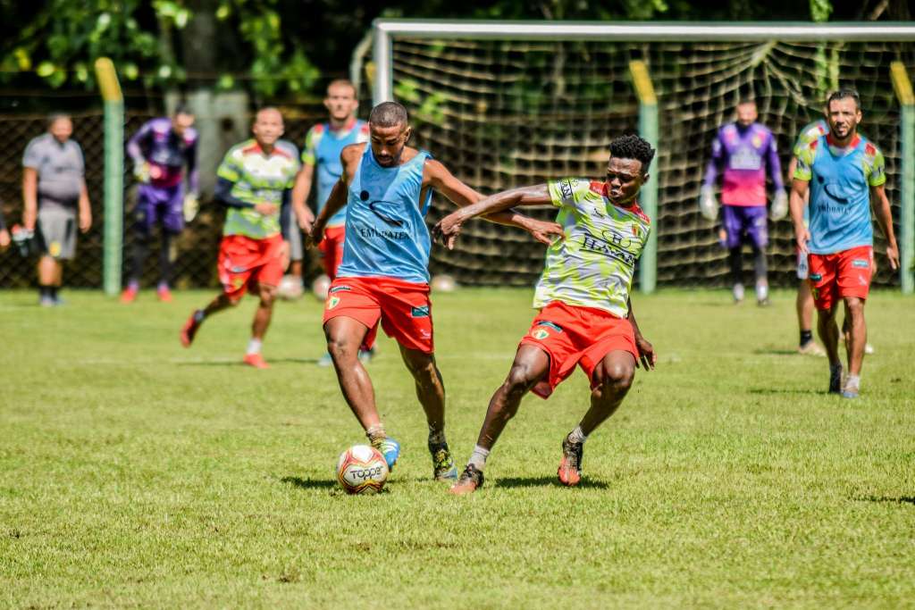 Elenco do Brusque treinando nesta quinta-feira (07). Jefferson Alves/Brusque FC