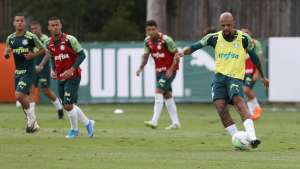 Recuperado, Felipe Melo volta a treinar com o grupo do Palmeiras após 2 meses